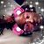 MzHopeful Wigfall's profile image
