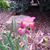 Theresa Huval's profile image