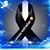 Josefina Velazquez's profile image