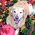 Roxanne Smith Sakowski's profile image