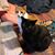 Cynthia Burress's profile image