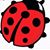 Mary Davis's profile image