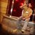 Armon Jerrall's profile image