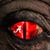Steve Watkins's profile image