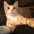 Fred R McIntosh's profile image