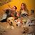 Nathalie Champagne's profile image