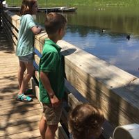 Marianne File Peterson's profile image