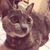 ประเสริฐ โต๊ะหมาด's profile image