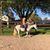 Cathy Wagner List's profile image