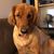Linda Lucas's profile image