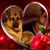 JoAnn Card Beam's profile image