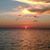 Donna Evans's profile image