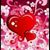 Barbara Johnson's profile image