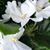 Colleen Brown's profile image