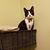Dorothy Hansen Boll's profile image