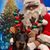 Debbie McNeely Zednik's profile image