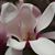 Martha Guenther's profile image