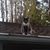 Gary Behrens's profile image