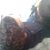 Sabrine Osman's profile image