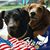 Diane Massengale's profile image