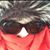 Karen Wooddell Younce's profile image