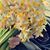 ʚĭɞ Rèzhna ʚĭɞ Saadi's profile image