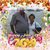 Jane Mccafferty's profile image