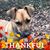 Amanda Clark Niebuhr's profile image