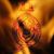 Shawn Alleyne's profile image