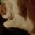Lisa Peller's profile image