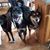 Eileen Lagosky Howard's profile image