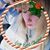 Megan Johnston's profile image