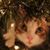 Treila Holmstock's profile image