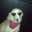 Kelly Schuster's profile image