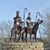 Rhonda Sigurdson-Merko's profile image