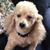 Dm Spriggs's profile image