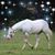 Kim Smith's profile image