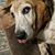 George Mosier's profile image