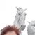 Rosemary Carter Molnar's profile image