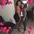 Kiesha Brown's profile image