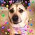 Karen Ontko Baytosh's profile image