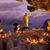 Karren Zattiv's profile image
