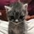 Ruthie Osburn's profile image