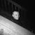 Andrew R. Curtis IV's profile image