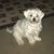 Maureen Saylor's profile image