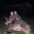 Josh Chapman's profile image