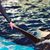 Mary Lou Suppa's profile image