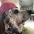 Emilie Olivier Kennedy's profile image