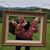 Dave Addeo's profile image