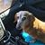 Bill Brown's profile image